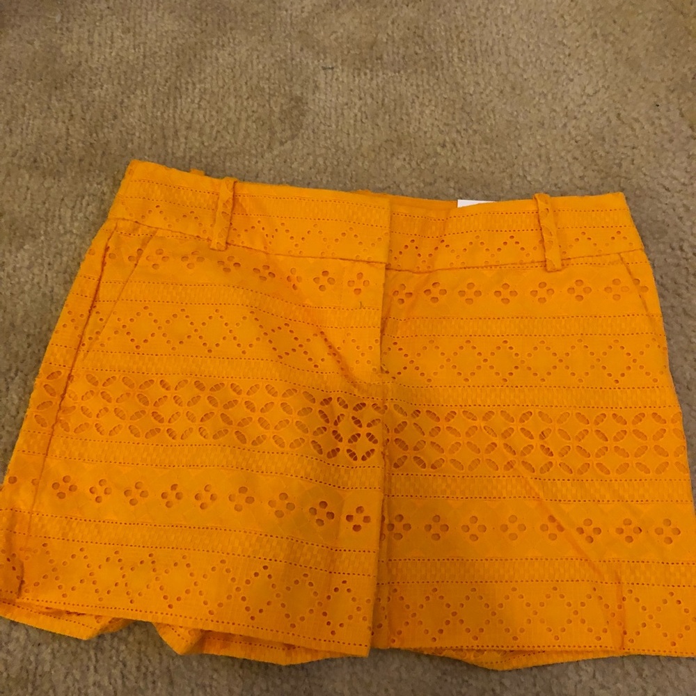 NWT loft shorts